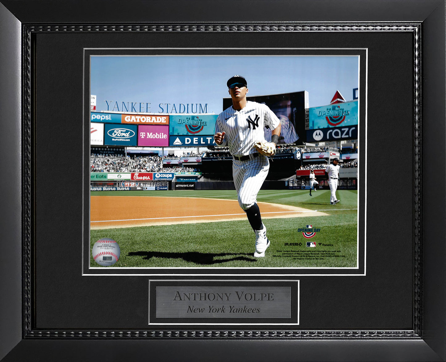 Anthony Volpe Photo 11x14