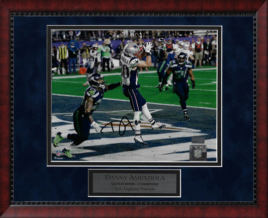 Danny Amendola Autograph Photo Touchdown Catch 11x14