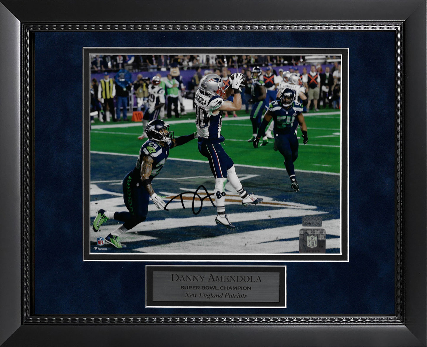Danny Amendola Autograph Photo Touchdown Catch 11x14