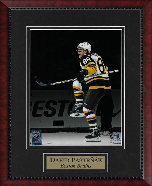 David Pastrnak Photo Spotlight 11x14