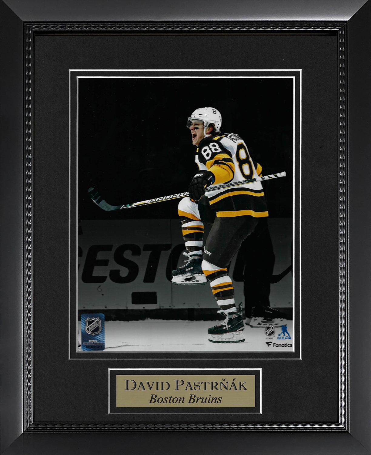 David Pastrnak Photo Spotlight 11x14