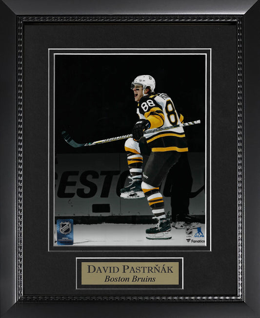 David Pastrnak Photo Spotlight 11x14