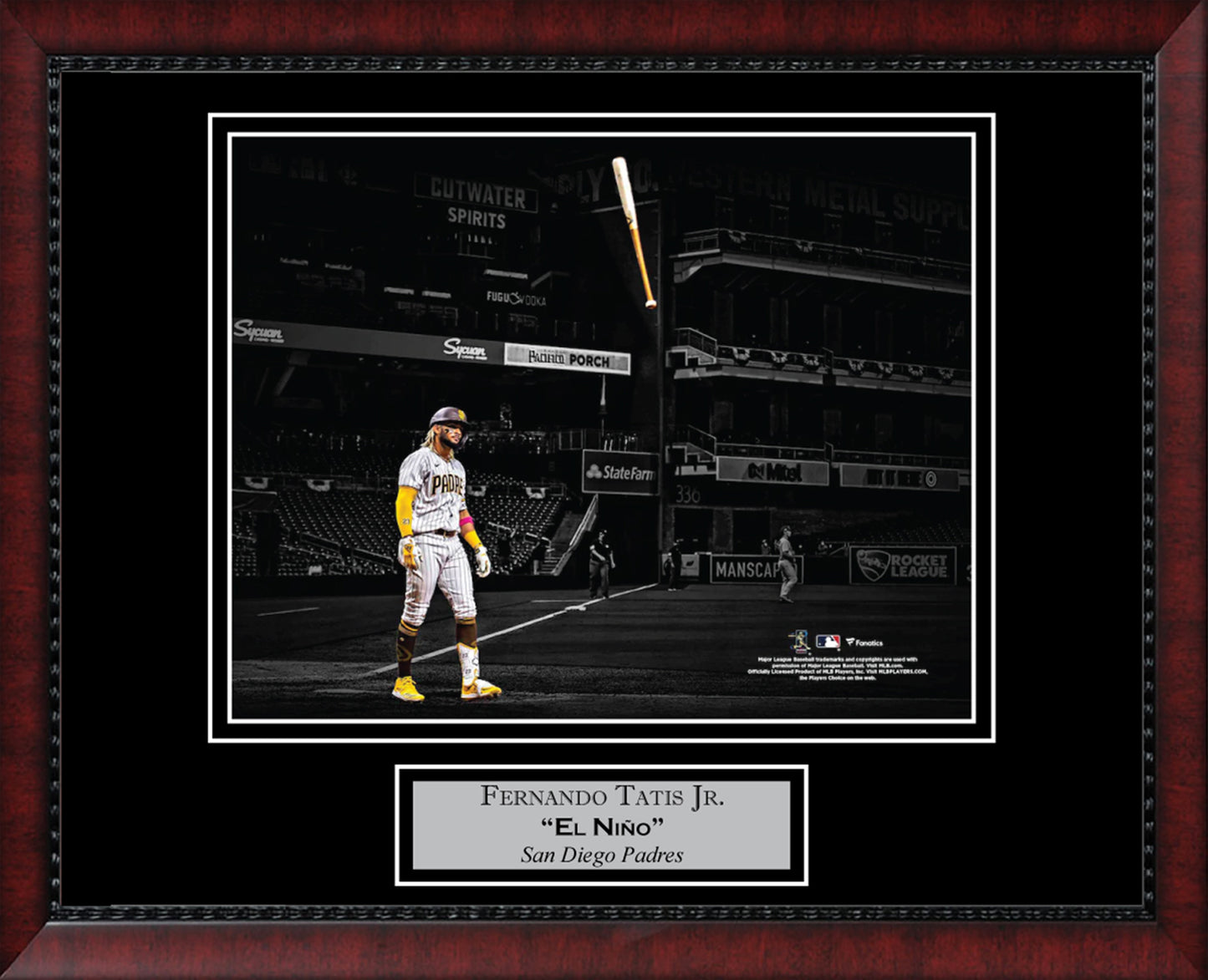 Fernando Tatis Jr Bat Flip Spotlight 11x14