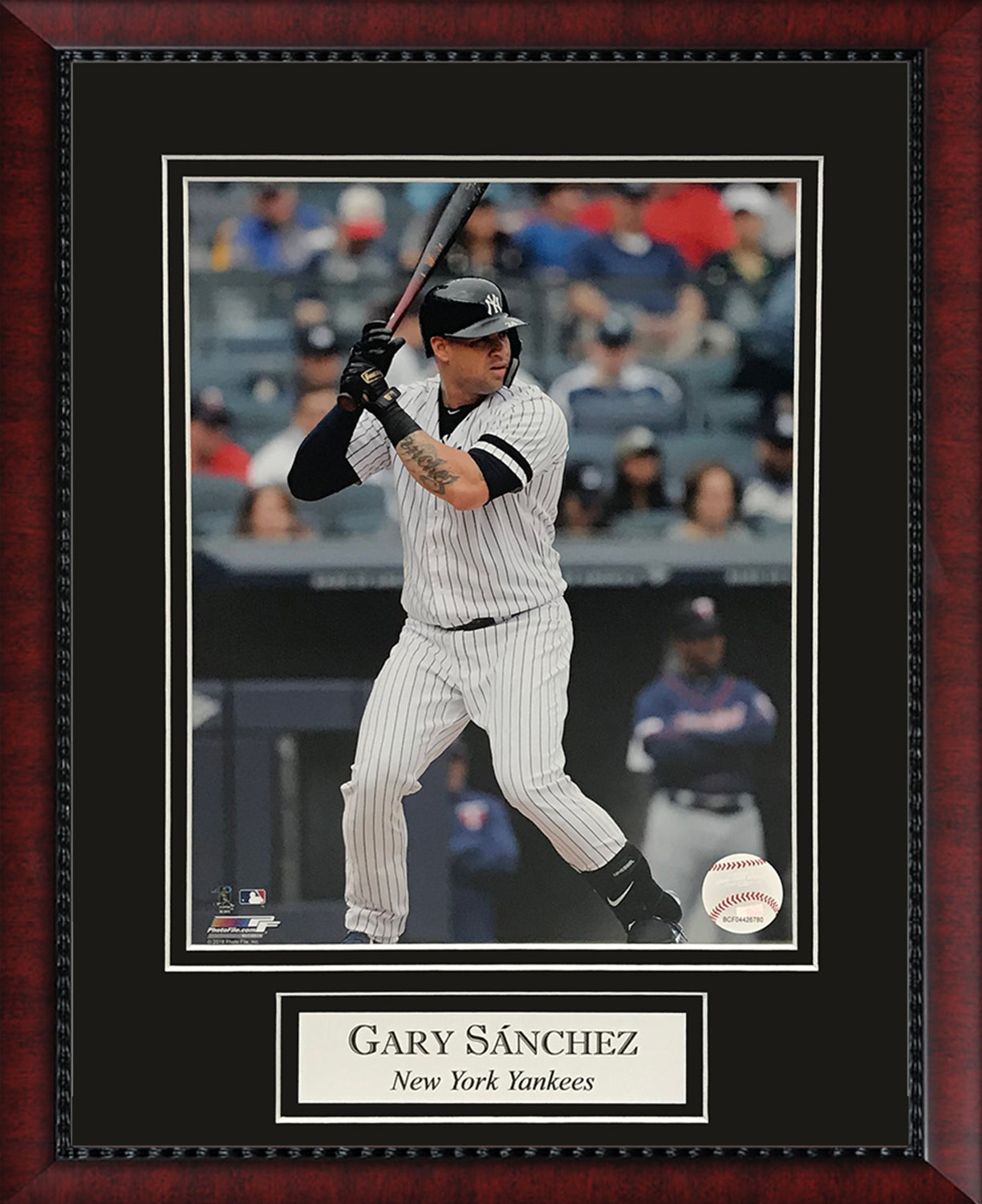 Gary Sanchez Photo 11x14