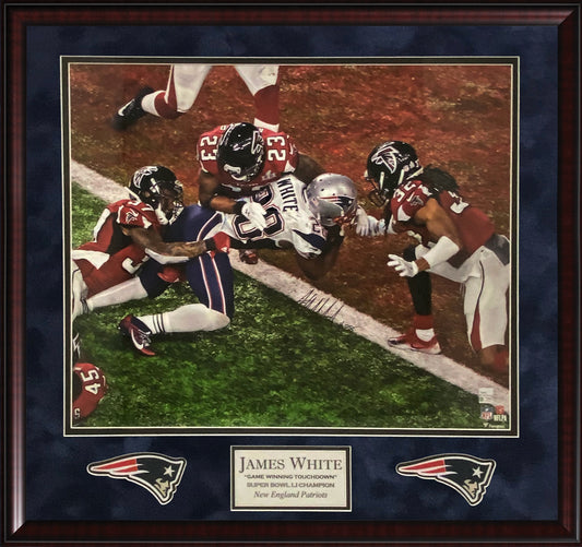 James White Autograph Photo Game Winning TD SB51 31x33 Fanatics Authentication