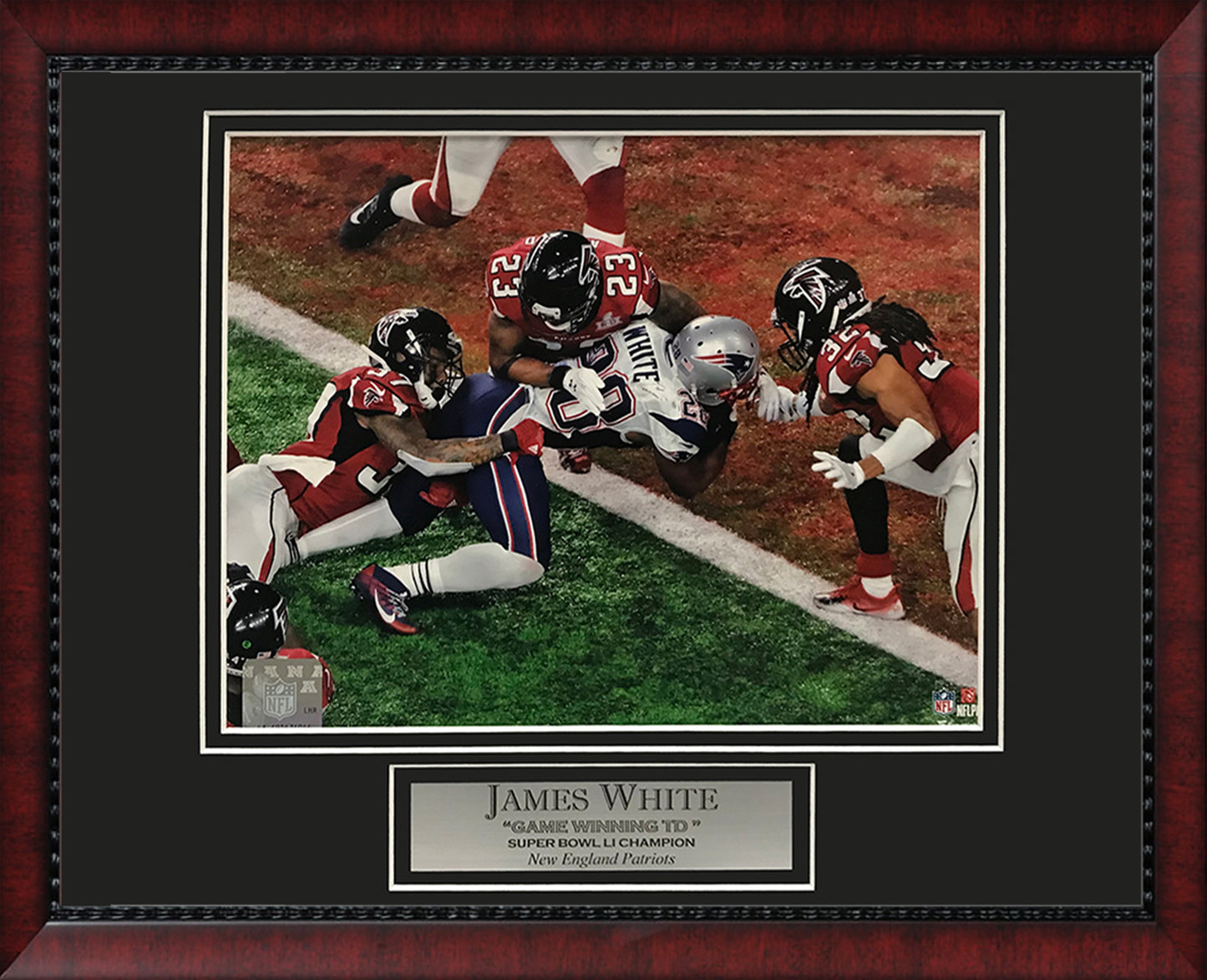 James White Photo Super Bowl LI Game Winning Touchdown 11x14