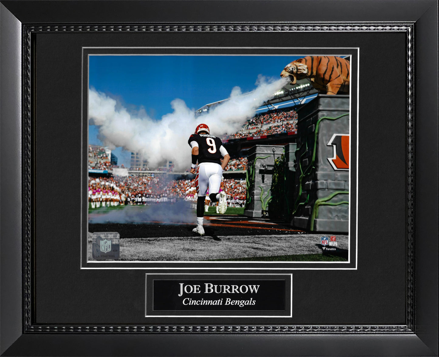 Joe Burrow Photo Step On Field 11x14