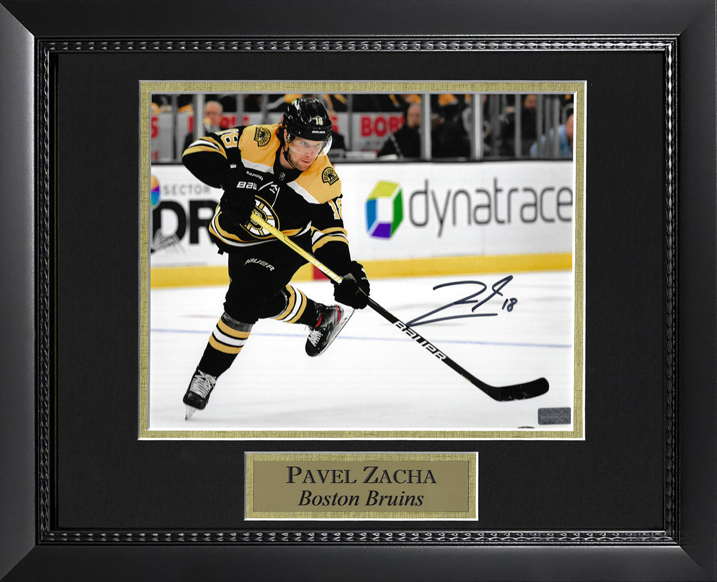 Pavel Zacha Autograph Photo Black Uniform 11x14