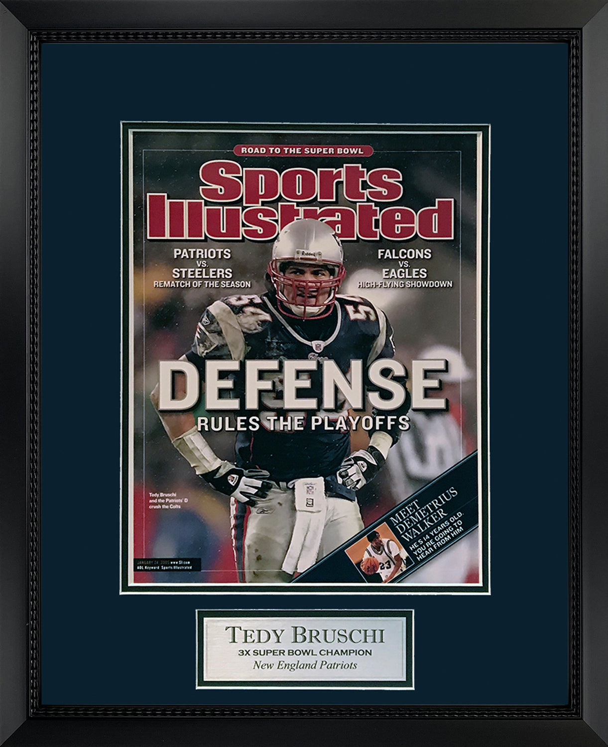 Tedy Bruschi Photo Defense Cover 16x20