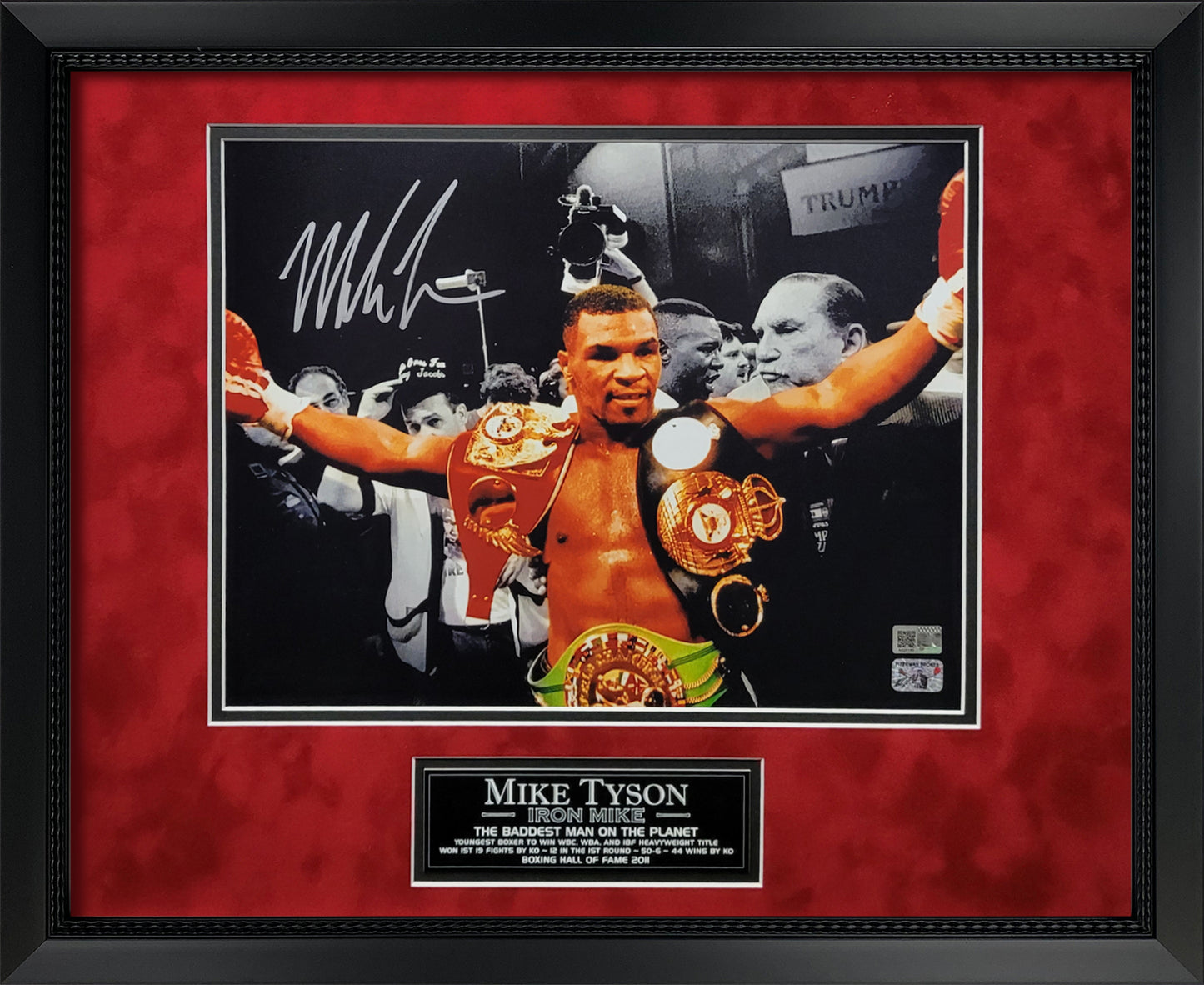 Mike Tyson Autograph 11x14 Photo - Championship Belts Spotlight - Framed 18x22 - New England Picture Authentication