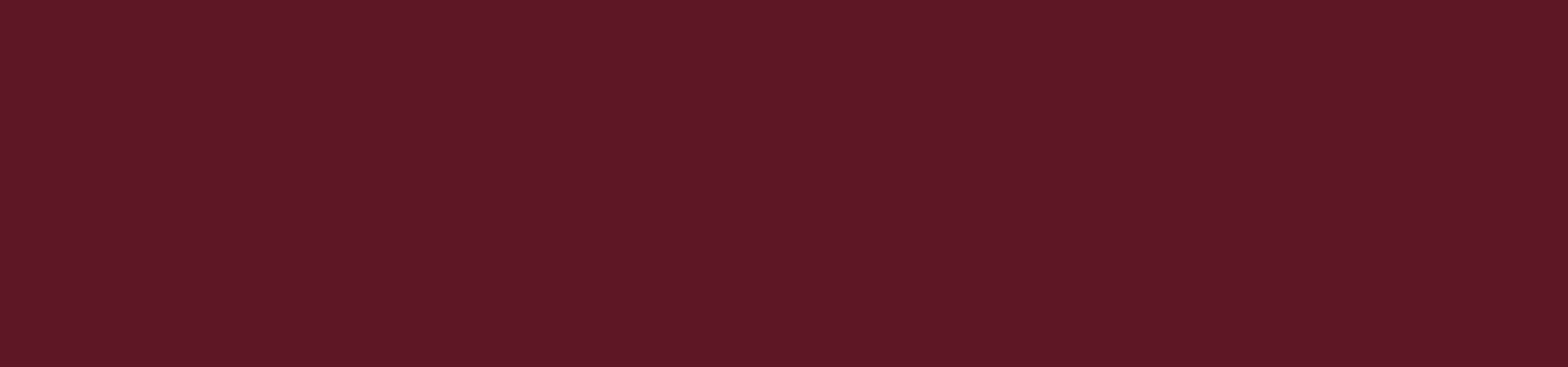 Mississippi State University Diploma Frames