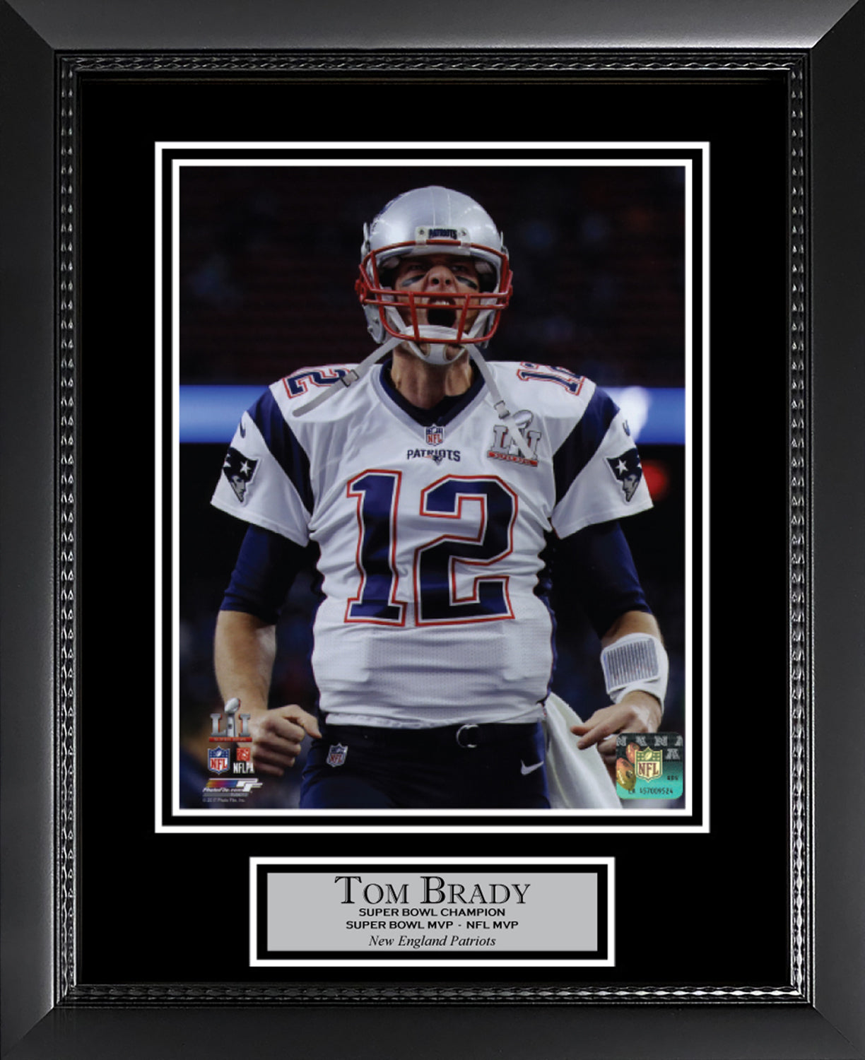 Tom Brady Photo Super Bowl LI Scream 11x14
