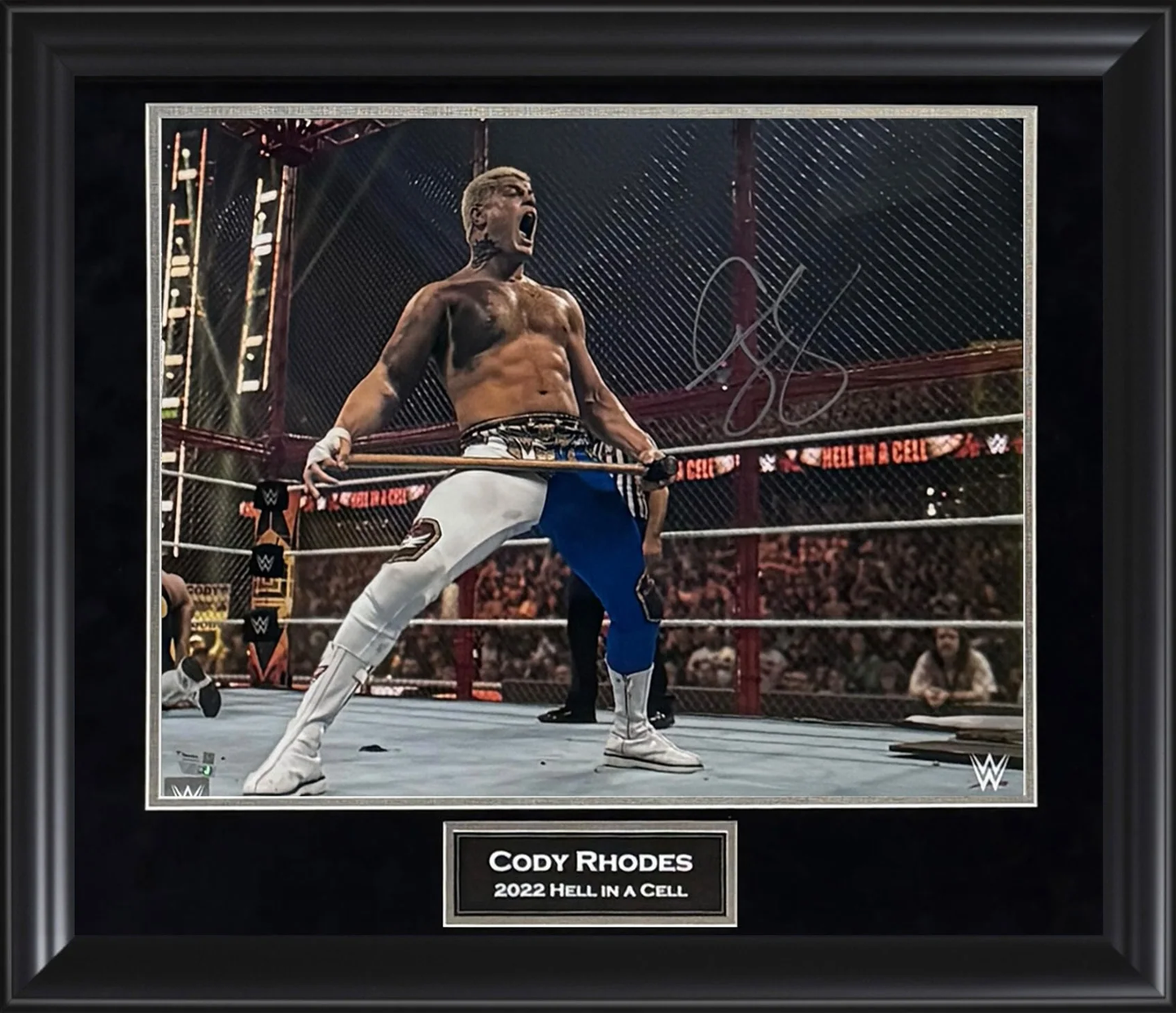 Cody Rhodes Autograph Photo Hell In A Cell 23x27 Fanatics Authentication