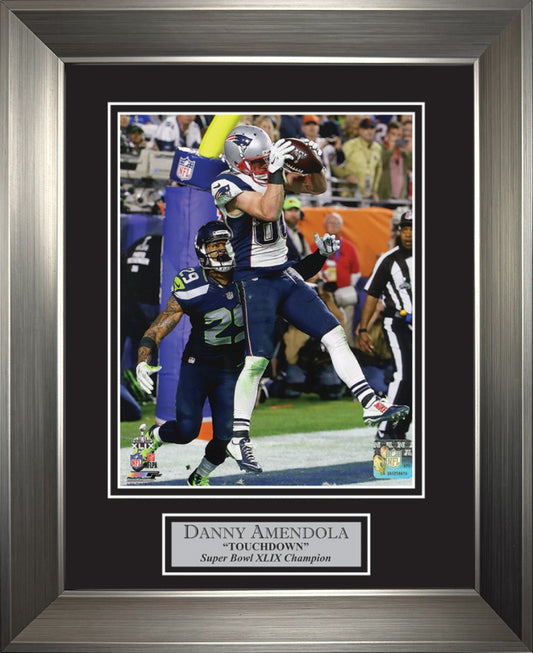 Danny Amendola Photo Super Bowl XLIX Touchdown 11x14