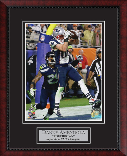 Danny Amendola Photo Super Bowl XLIX Touchdown 11x14