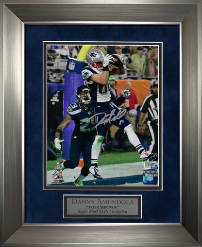 Danny Amendola Autograph Photo Touchdown 11x14