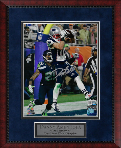 Danny Amendola Autograph Photo Touchdown 11x14