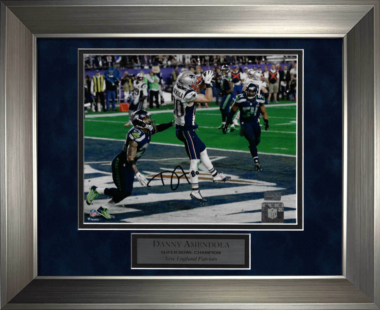 Danny Amendola Autograph Photo Touchdown Catch 11x14