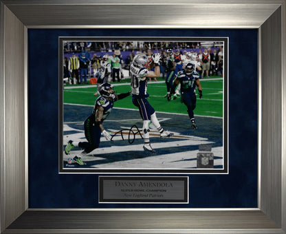 Danny Amendola Autograph Photo Touchdown Catch 11x14