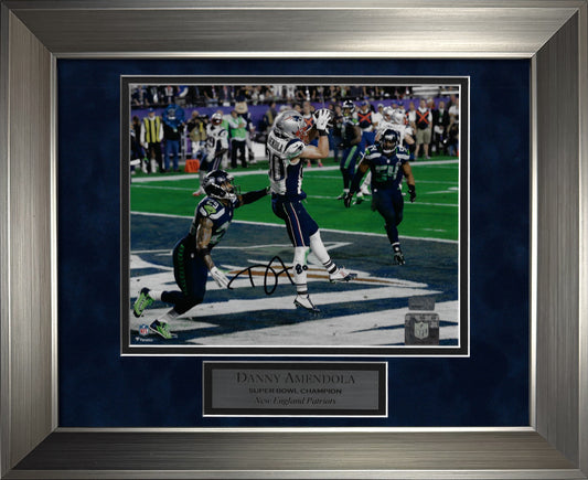 Danny Amendola Autograph Photo Touchdown Catch 11x14