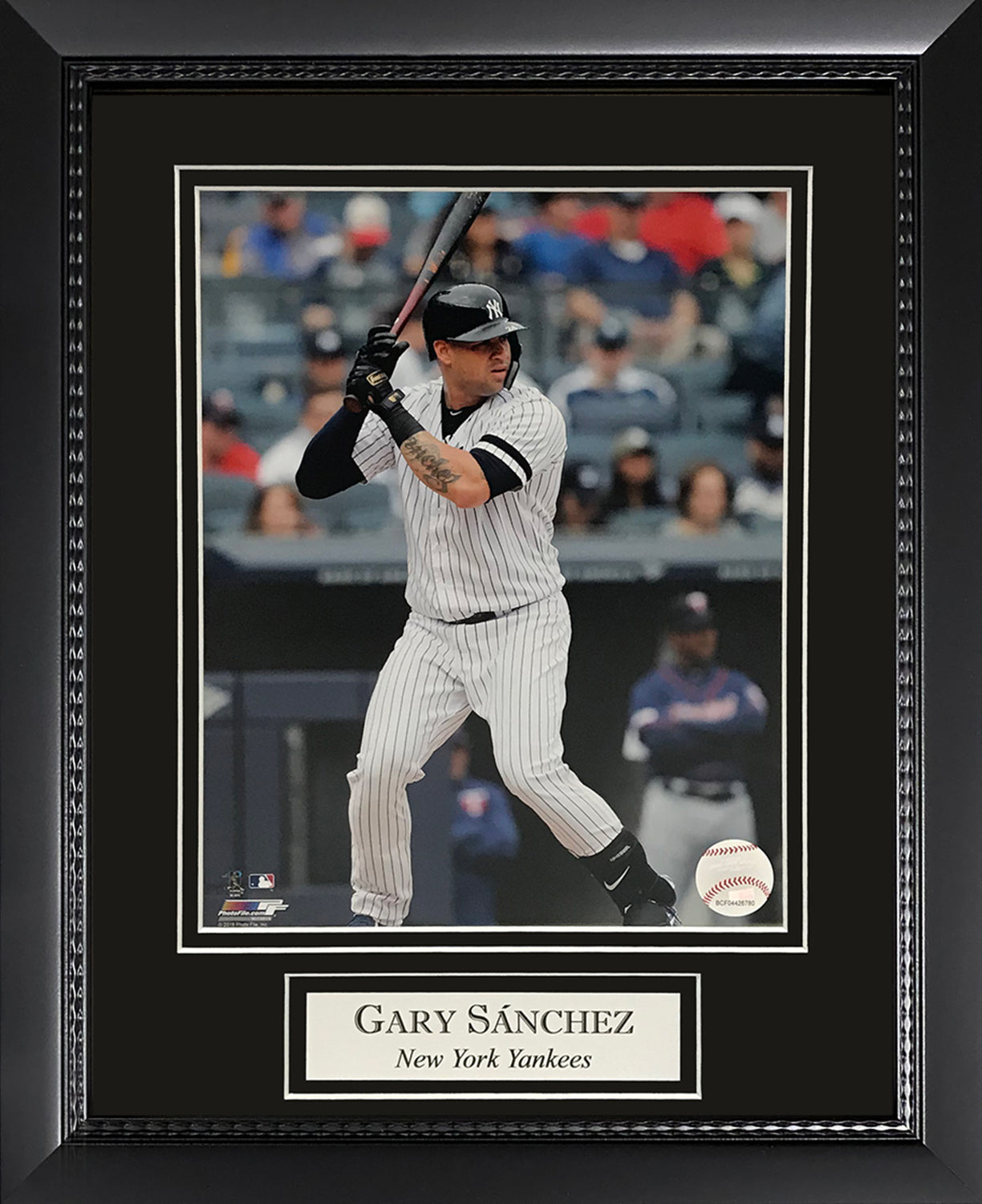 Gary Sanchez Photo 11x14
