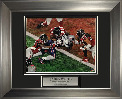 James White Photo Super Bowl LI Game Winning Touchdown 11x14