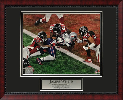 James White Photo Super Bowl LI Game Winning Touchdown 11x14