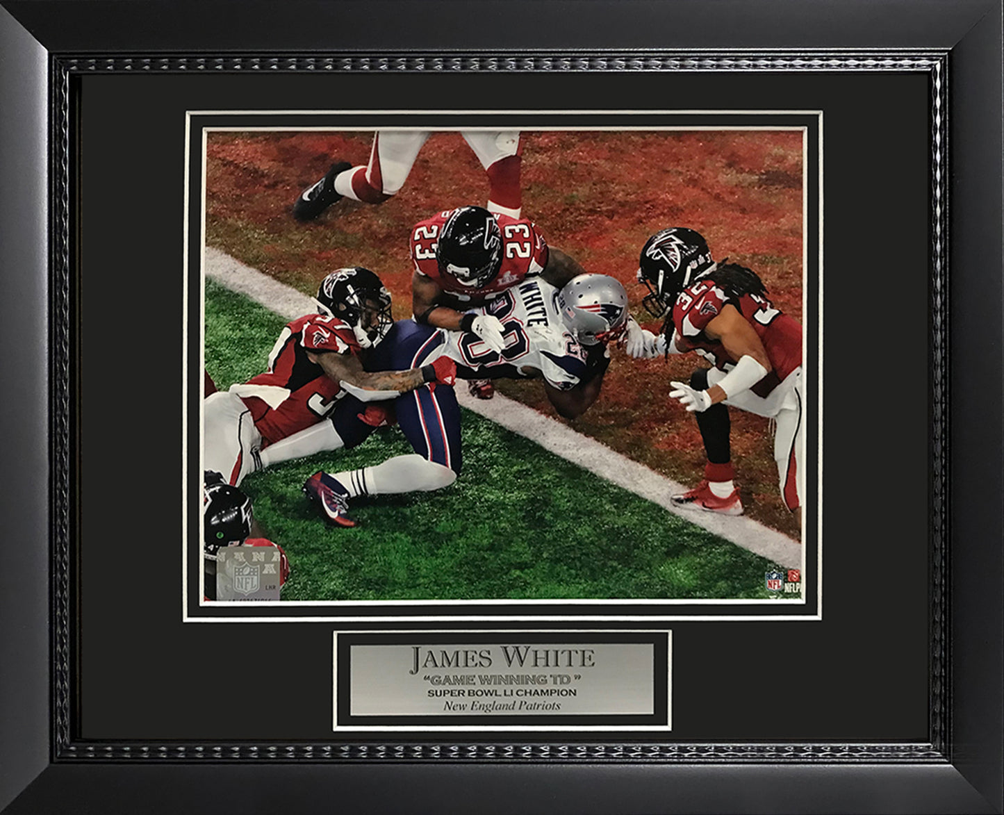 James White Photo Super Bowl LI Game Winning Touchdown 11x14