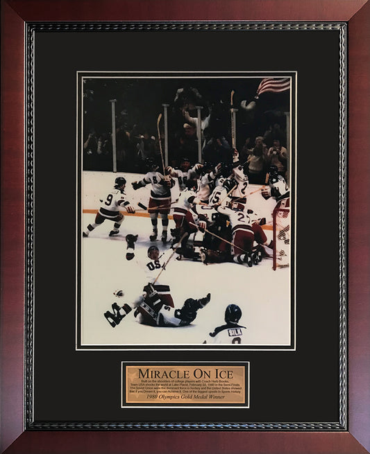 Miracle On Ice Photo 1980 US Olympic Hockey Team 16x20