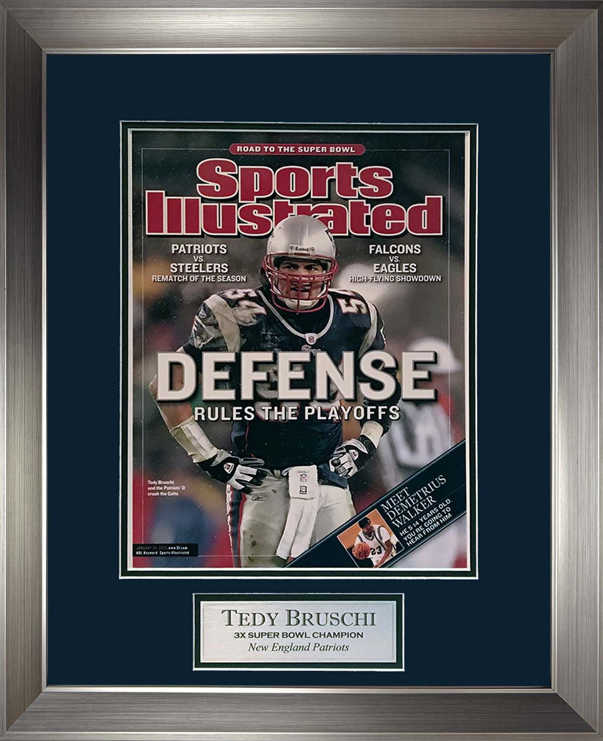 Tedy Bruschi Photo Defense Cover 16x20
