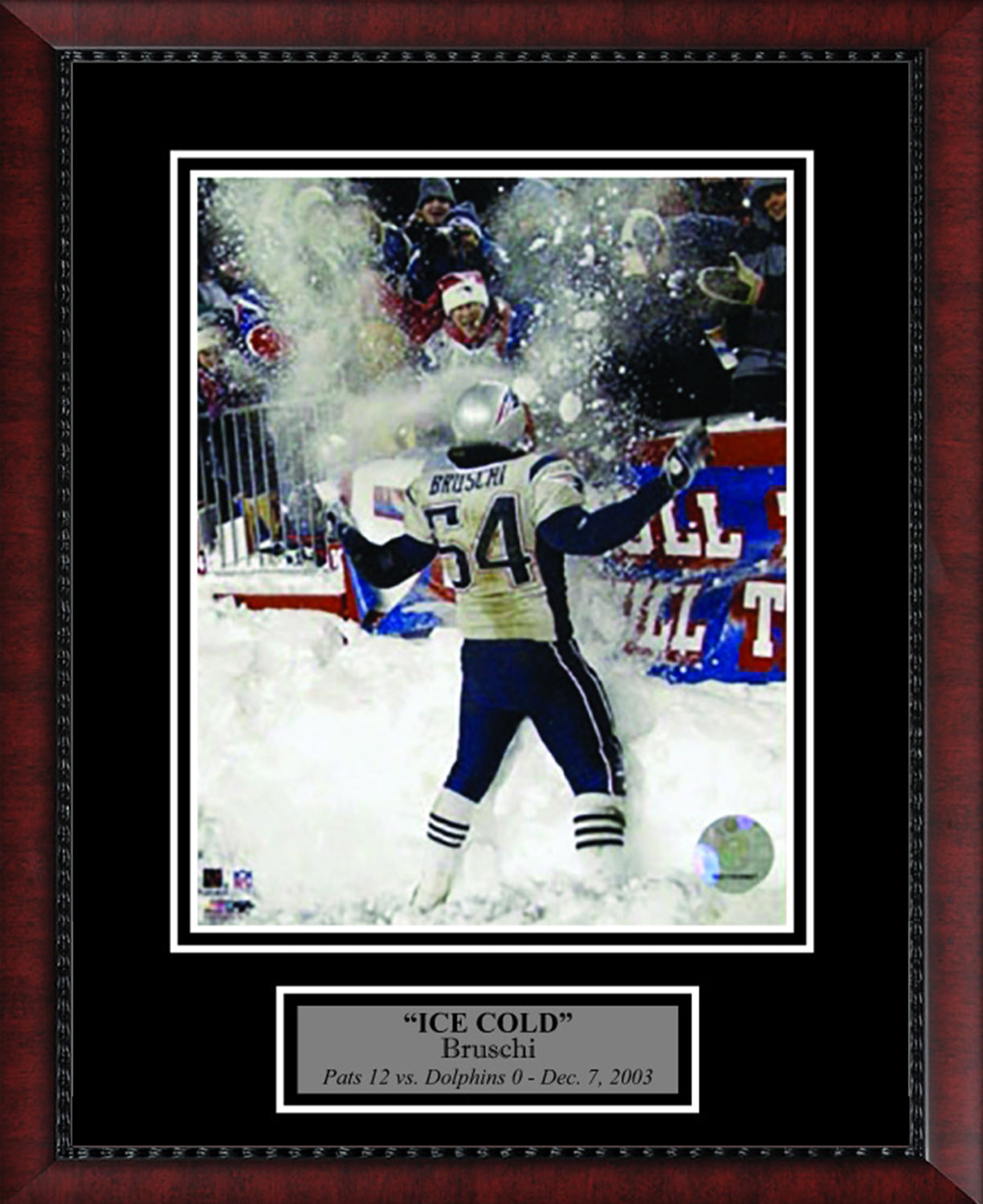 Tedy Bruschi Photo Ice Cold 11x14