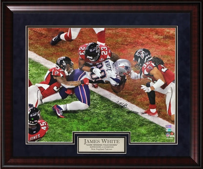 James White Autograph Photo GWTD 23x27 Fanatics Authentication