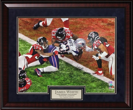 James White Autograph Photo GWTD 23x27 Fanatics Authentication