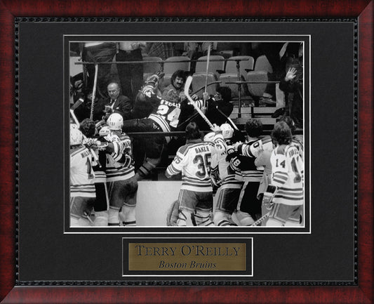 Terry O'Reilly Photo Fight In Stands 11x14